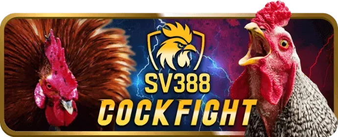 Cược Thể Thao Ảo (Virtual Sports) trên mbet